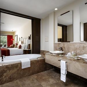 Suite con Cama King